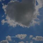 goon boy 1212 avatar