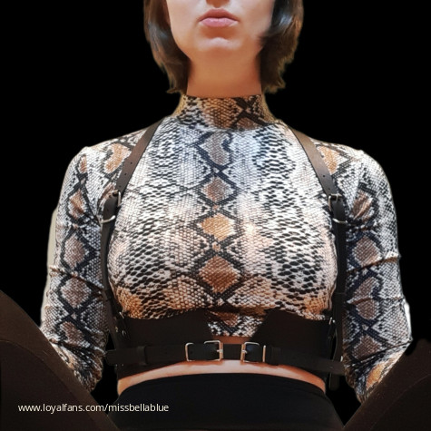 Miss Bella Blue avatar