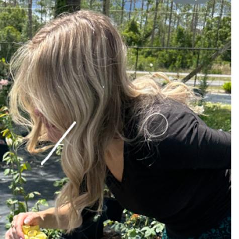 Journey Wylde avatar