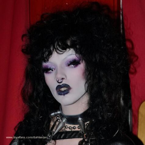Dahliastarr avatar