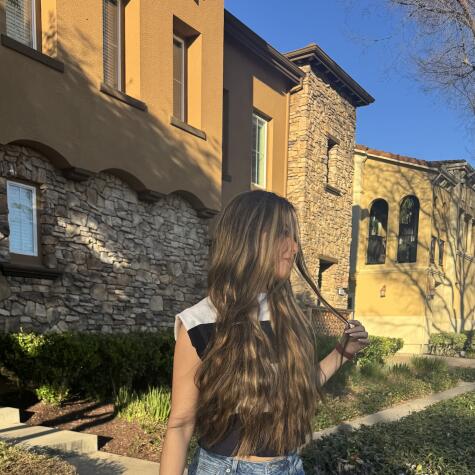 WildheartX avatar