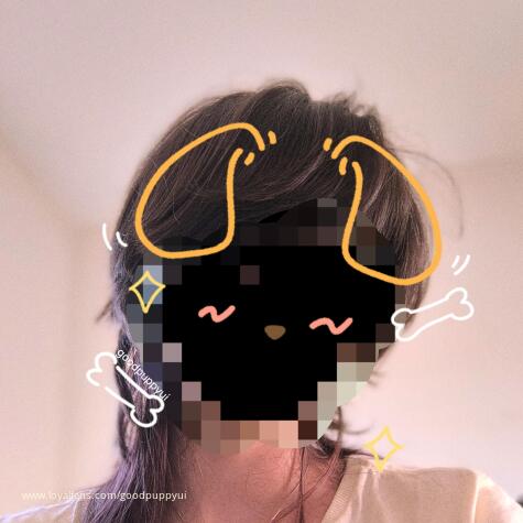 your puppy yui avatar