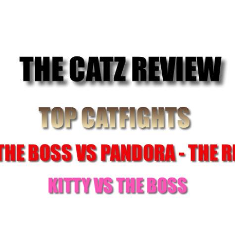 The Catz Cauldron avatar