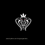 King Savage Media avatar