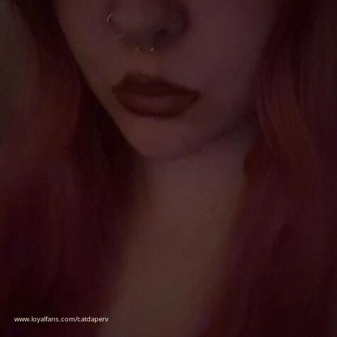 catdaperv avatar
