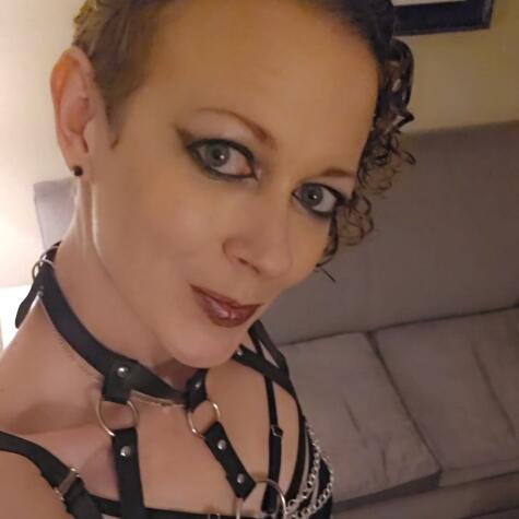 Fun Room Freaks avatar