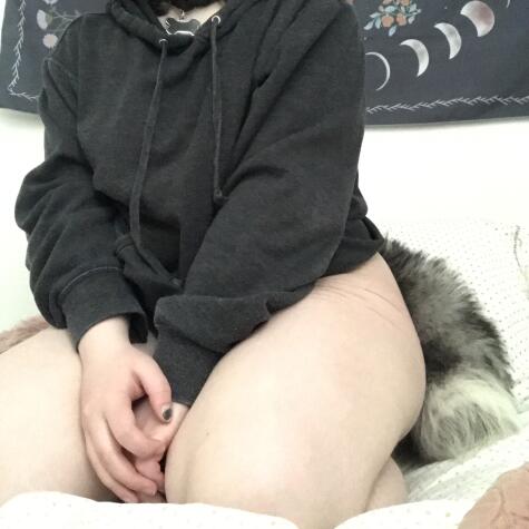 Pixiethepup avatar