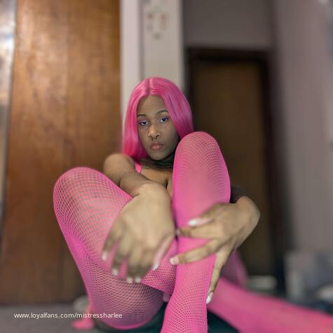 MistressHarlee avatar
