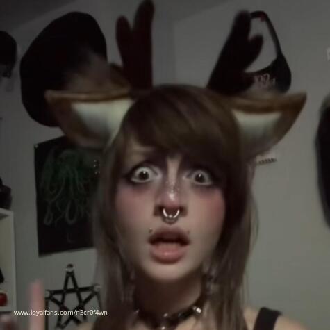 N3CR0 F4WN avatar