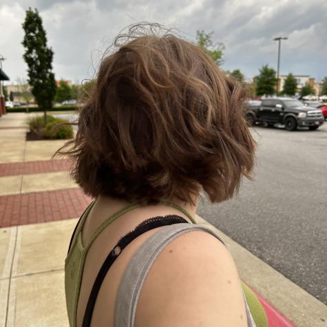 queen cassandra avatar