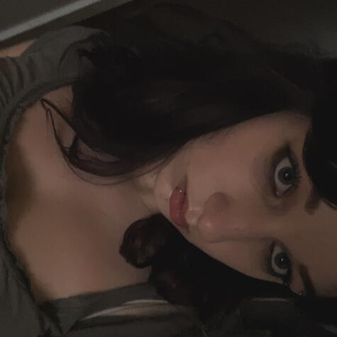 laurinecek avatar