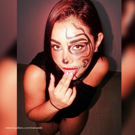 SienaWild avatar