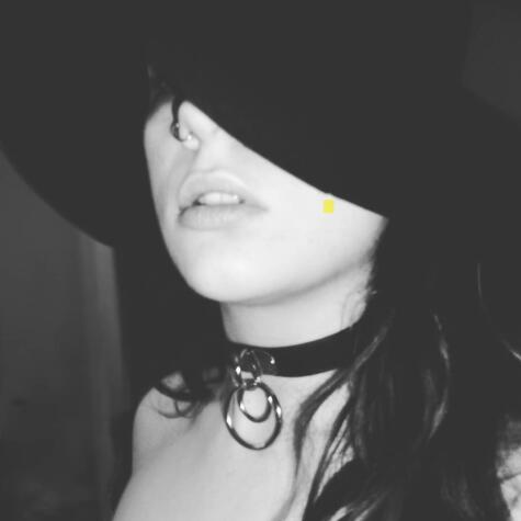 venusmilk avatar