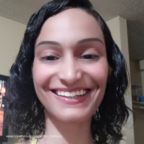 Brazilian Brittany avatar