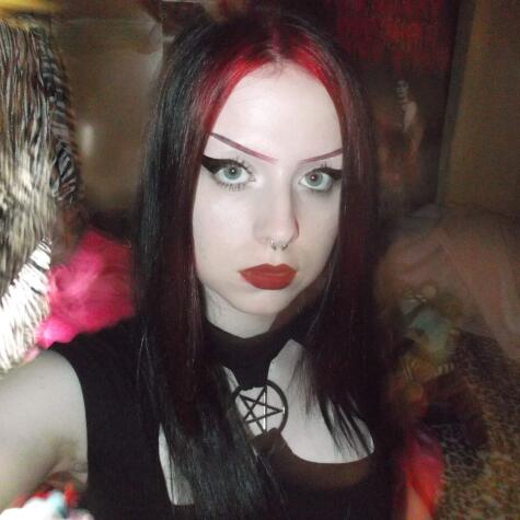 luciafoxx avatar