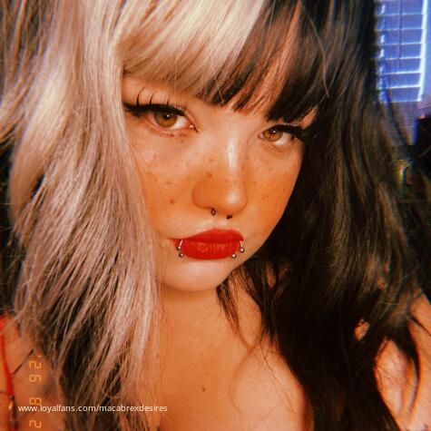 macabrexdesires avatar