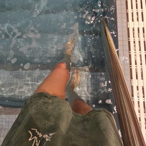 TinyEatsWallets avatar