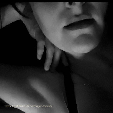 NotThatJuneCleaver avatar