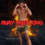 Muay Tiger King avatar