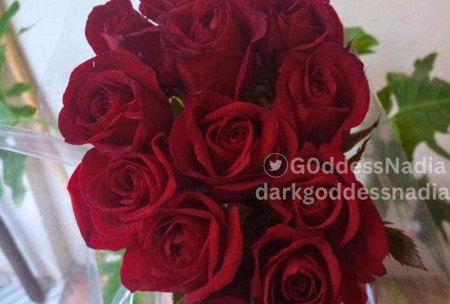 The birthday celebrations continue 🌹 - Dark Goddess Nadia Official