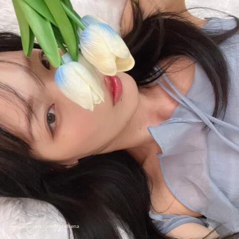 Sena Doll avatar
