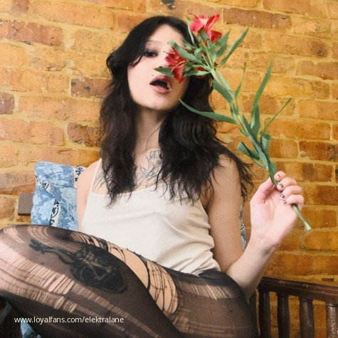 ElektraLane avatar