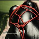 666explorer666 avatar