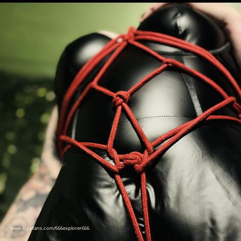 666explorer666 avatar