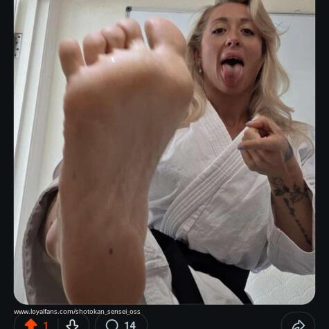 Shotokan_sensei_oss avatar