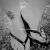 Princess Scarlett XOXO avatar