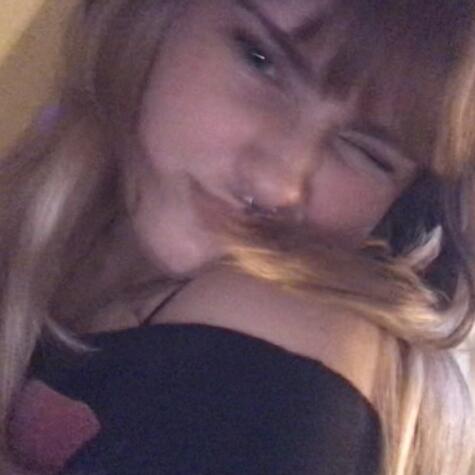 chatwithdani avatar