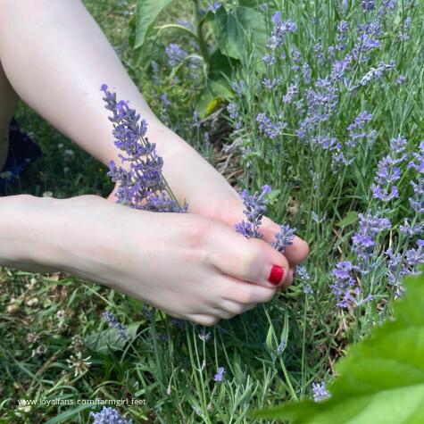 Farmgirl_feet avatar