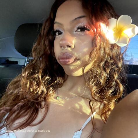 brattybubblesss avatar