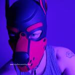 Your Favorite Dogboy avatar