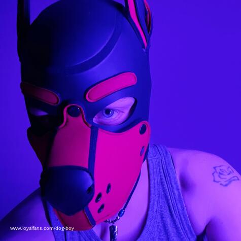 Your Favorite Dogboy avatar