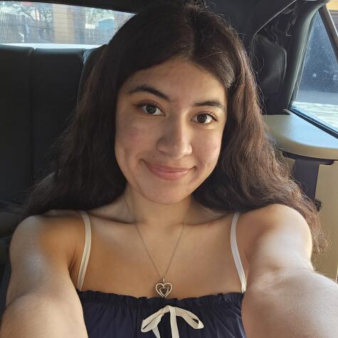 Urprincessbrie avatar