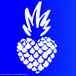 Pineapple Support avatar