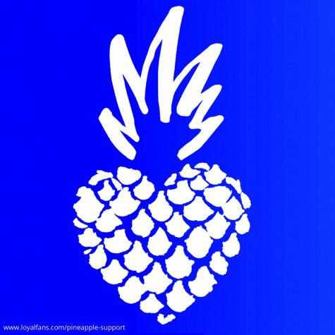 Pineapple Support avatar