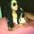Ella_Diabla avatar