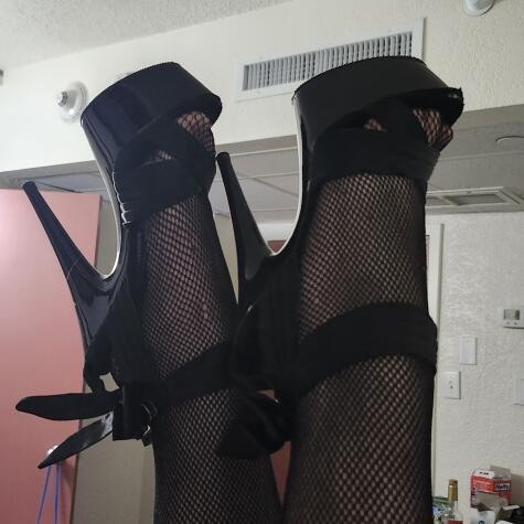 SillyPuppyGirl avatar