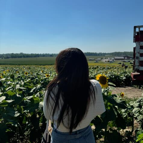 wallets4mitchy avatar