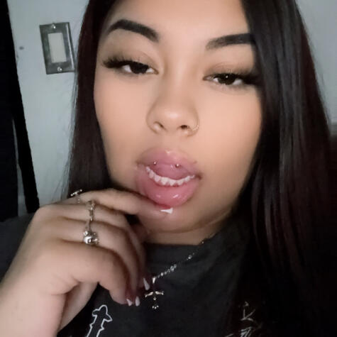 Mechee avatar
