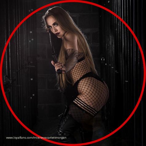 Mistress Scarlett Morgan avatar