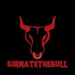 SirNateTheBull avatar