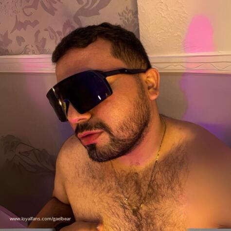 GaelBear avatar