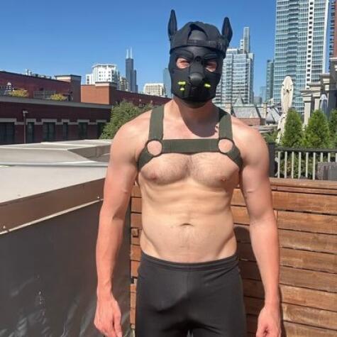 Bull Wandering avatar