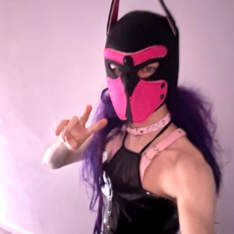 FoxyPuppy avatar