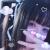 Kitten Toebeans avatar