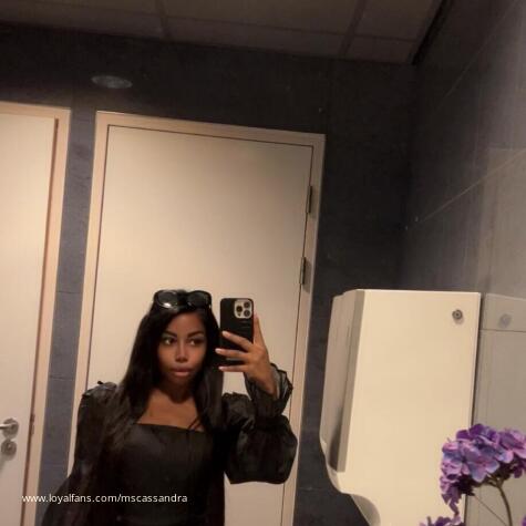 MsCassandra avatar