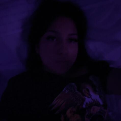 princesscilla avatar